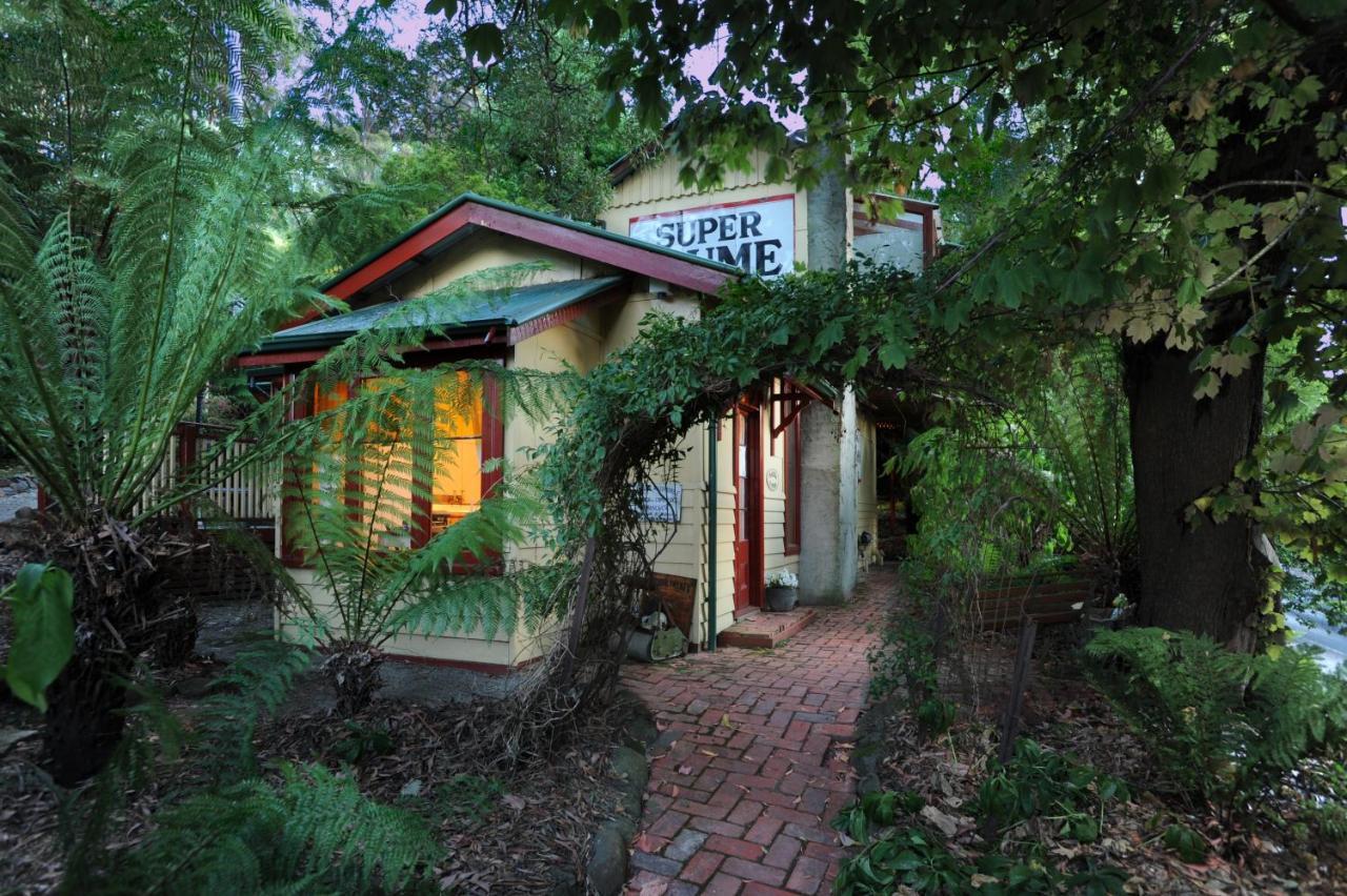 Como Cottage Accommodation Olinda Esterno foto